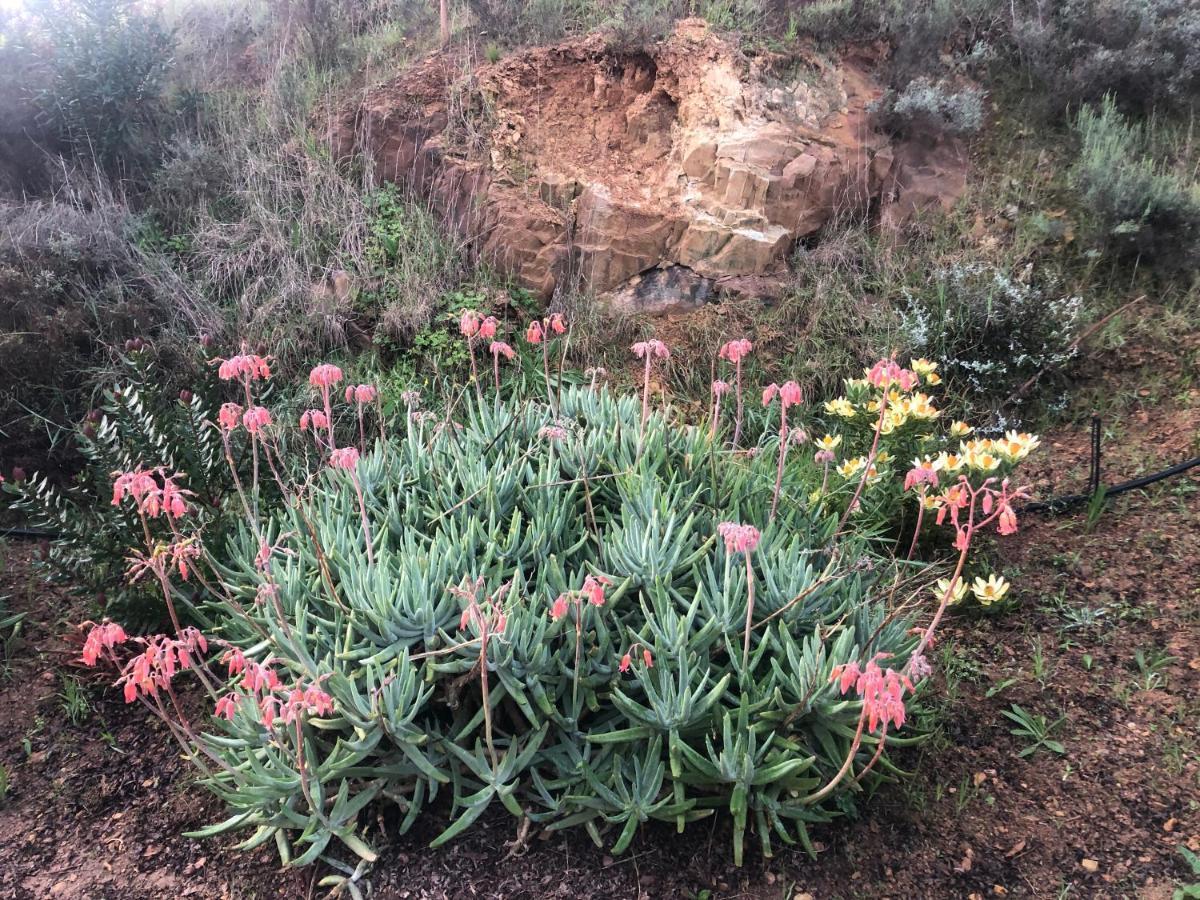 Inn On Highlands Grabouw Buitenkant foto